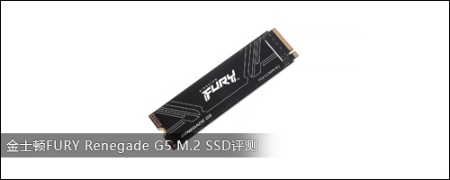ʿFURY Renegade G5 M.2 SSD