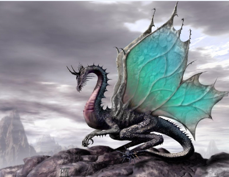 image3.png