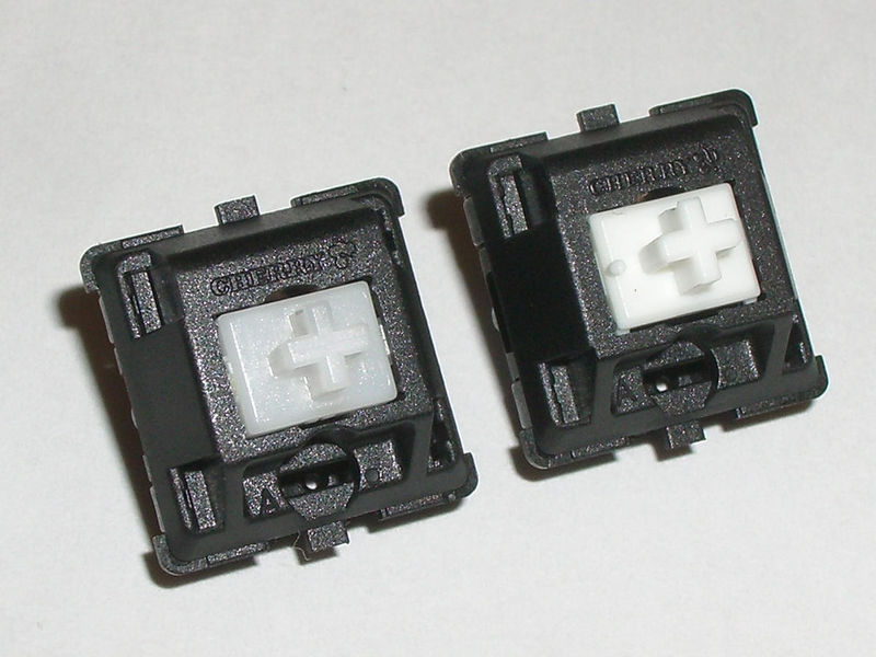 image13.jpeg