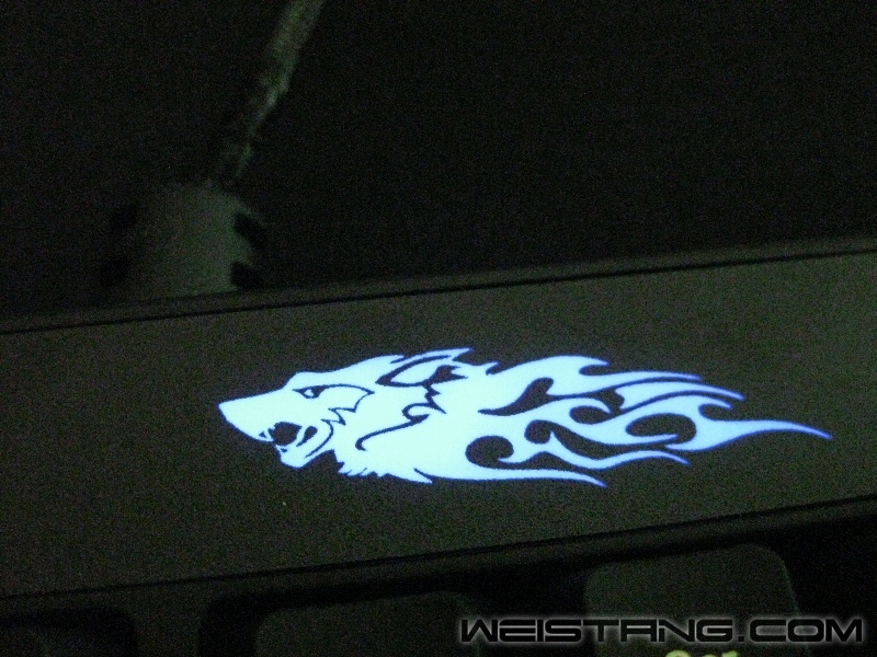 IMG_2020.JPG