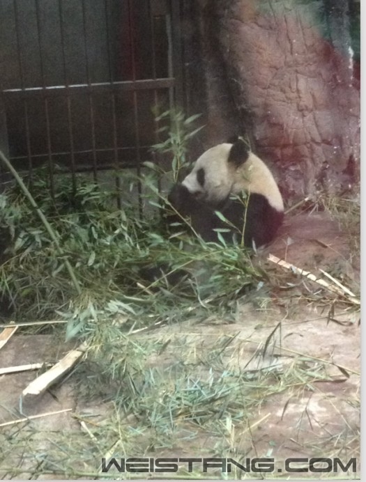 QQͼƬ20140510211901.jpg