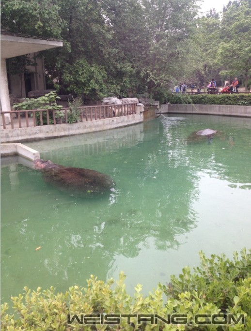 QQͼƬ20140510212912.jpg