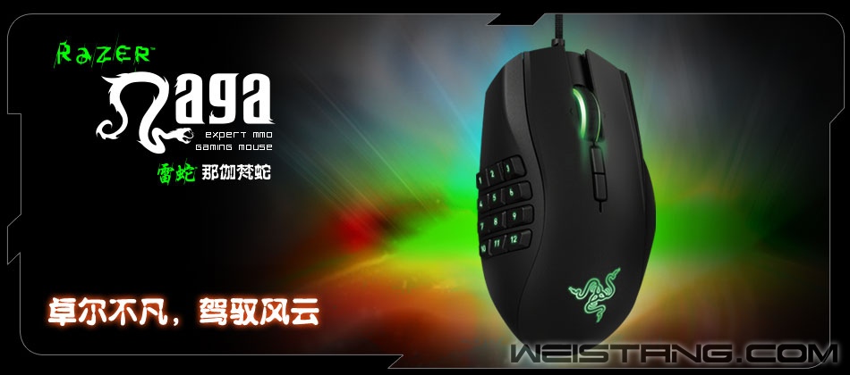 950x420_naga_2014.jpg