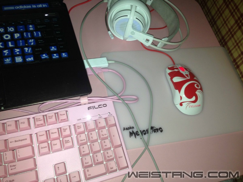 SENSEI TYLOO  �ǳ��ÿ���һ�����