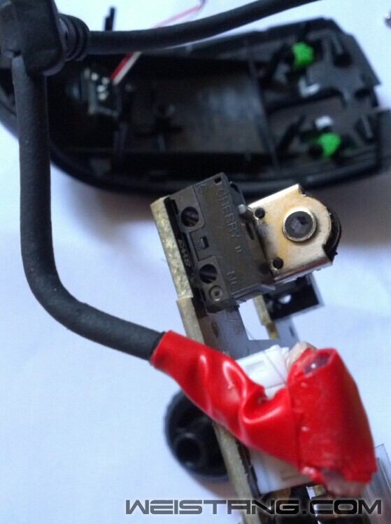  ����������DNA