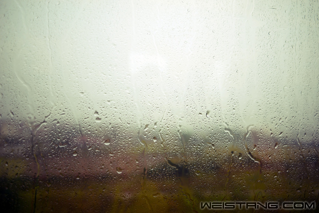 DSC_0795.jpg