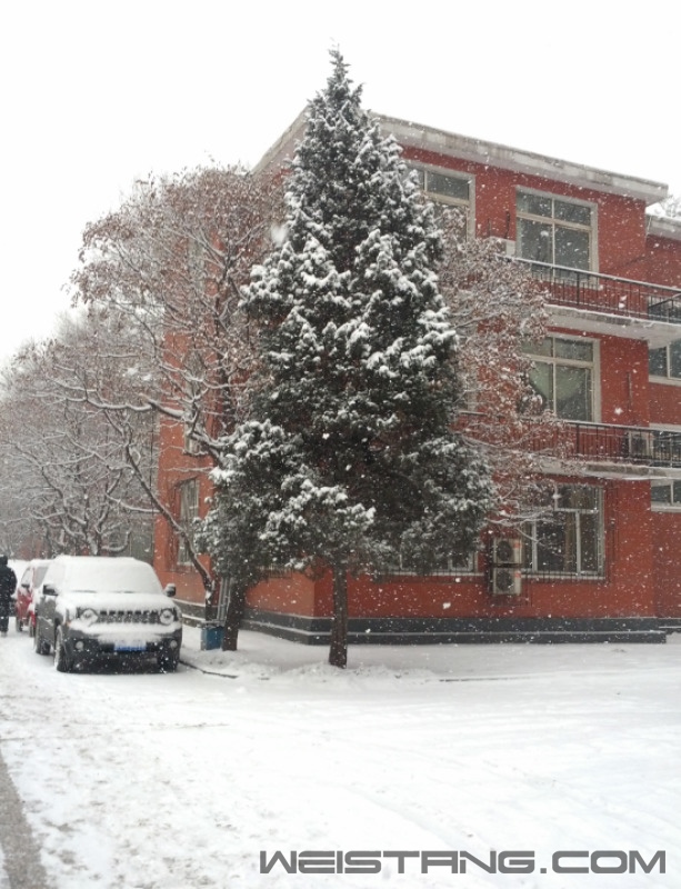 �ô�һ��ʥ����>.<