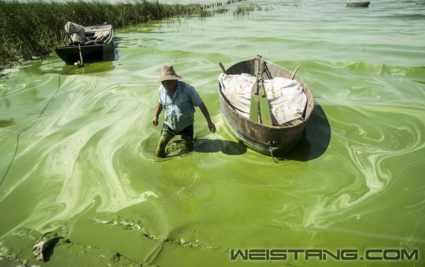 �Ϸ�������Ⱦ������