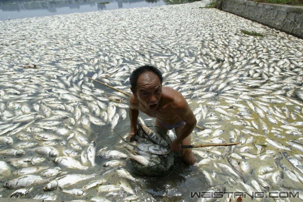 ����ʡ�人�Ĵ������㡣