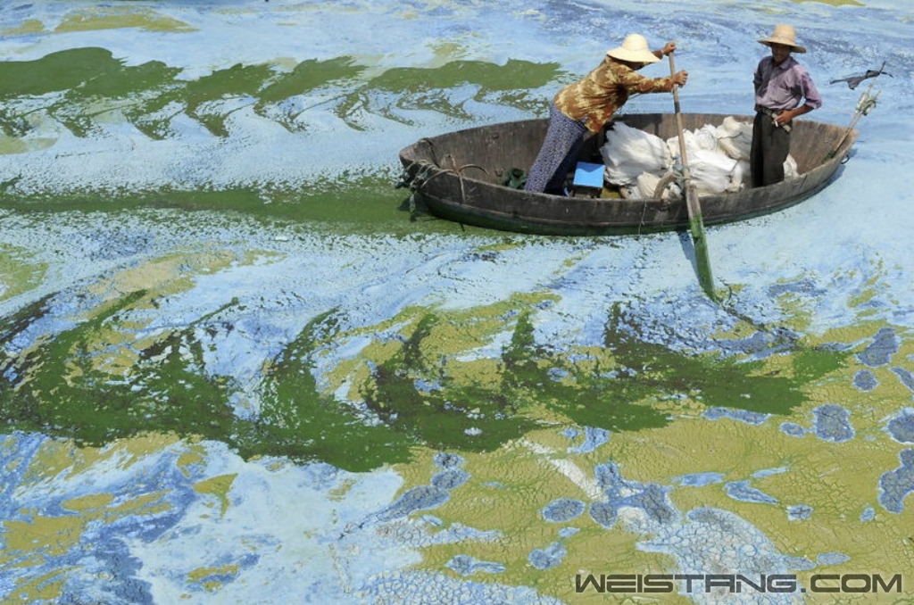 ����ʡ�Ϸ��г���������ĺ�ˮ�������������ͻ�һ����