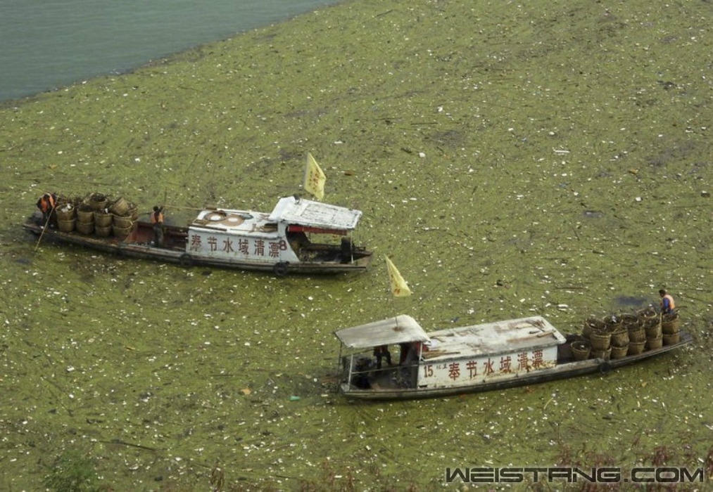 �����������������ϵ�������