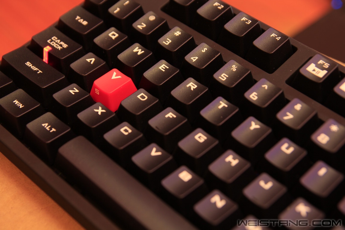 nEO_IMG__MG_1561.jpg