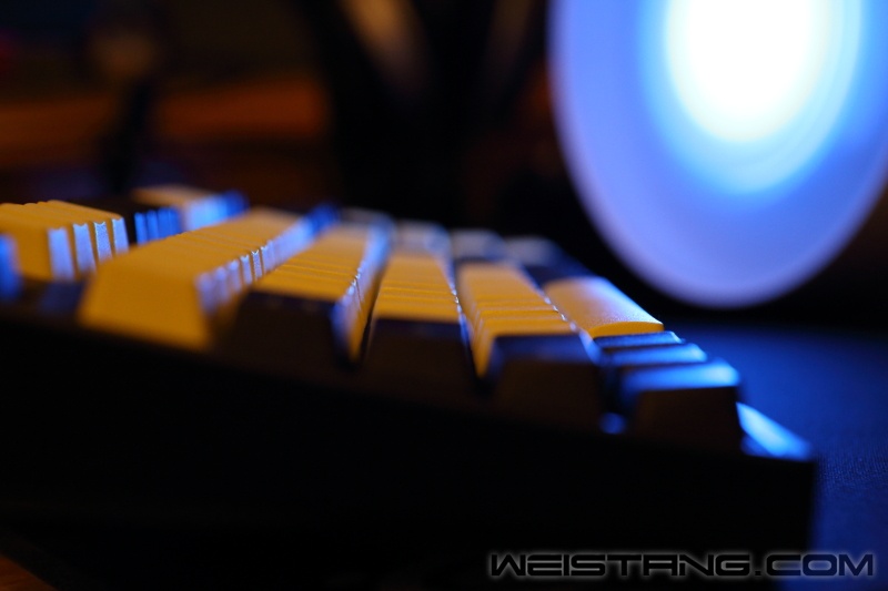 DPP_111311.JPG