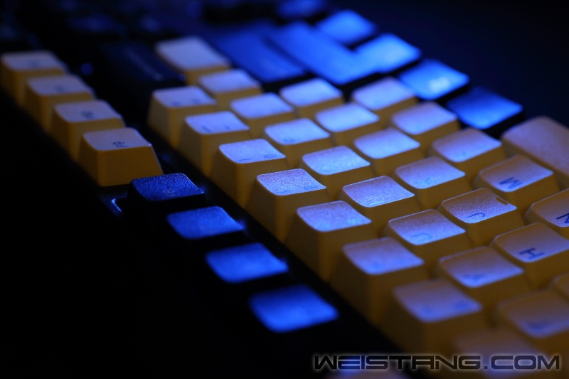 DPP_111310.JPG