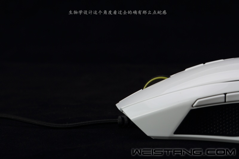 DPP_111235_副本.jpg