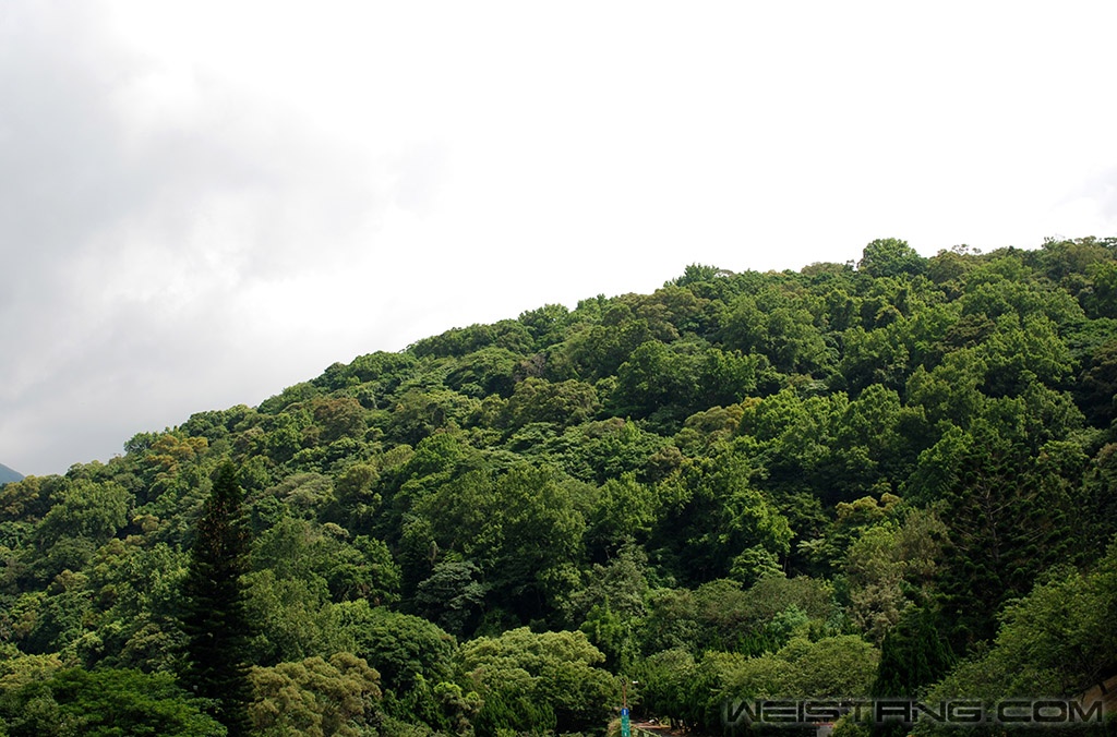 DSC_0650.JPG