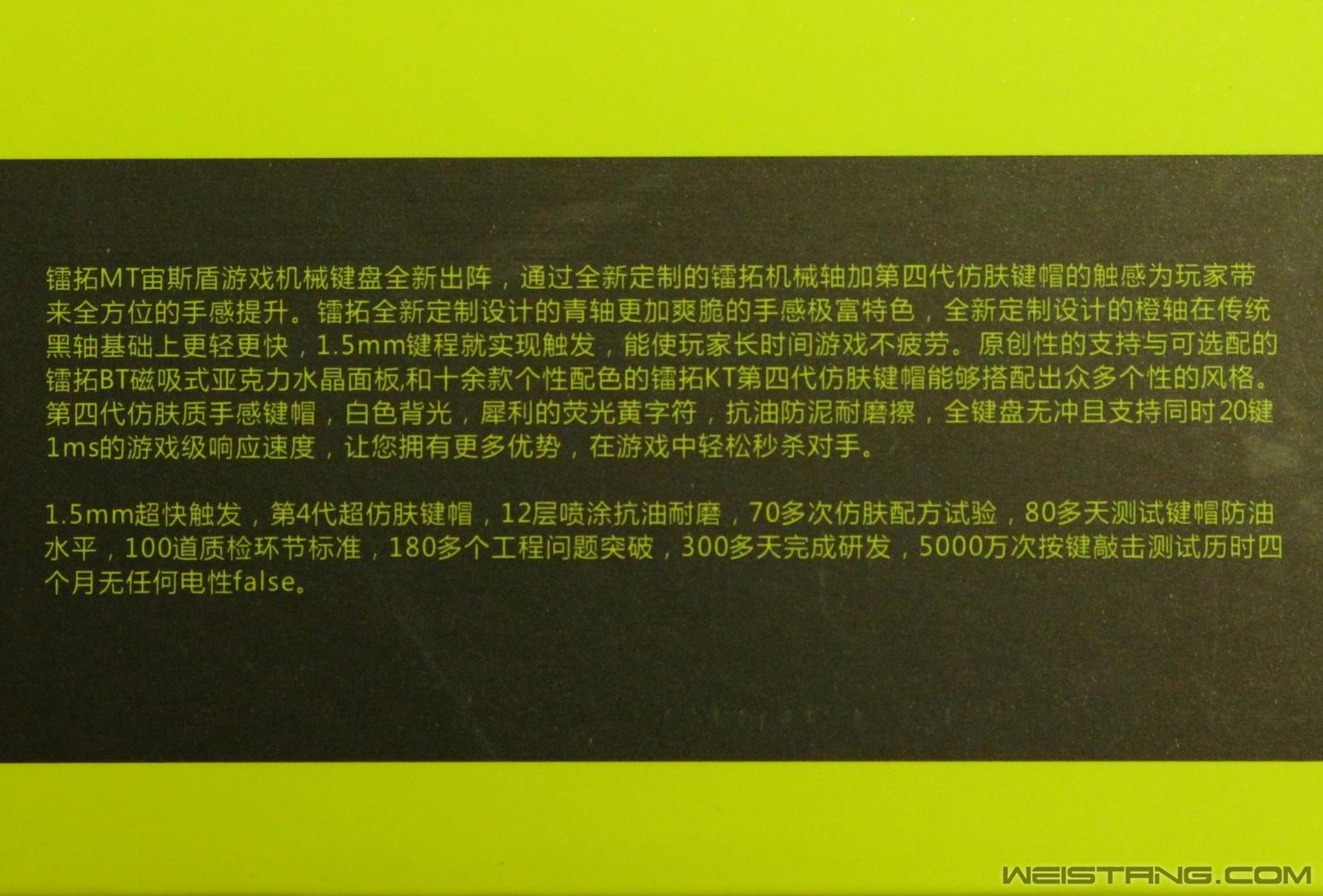 06.JPG