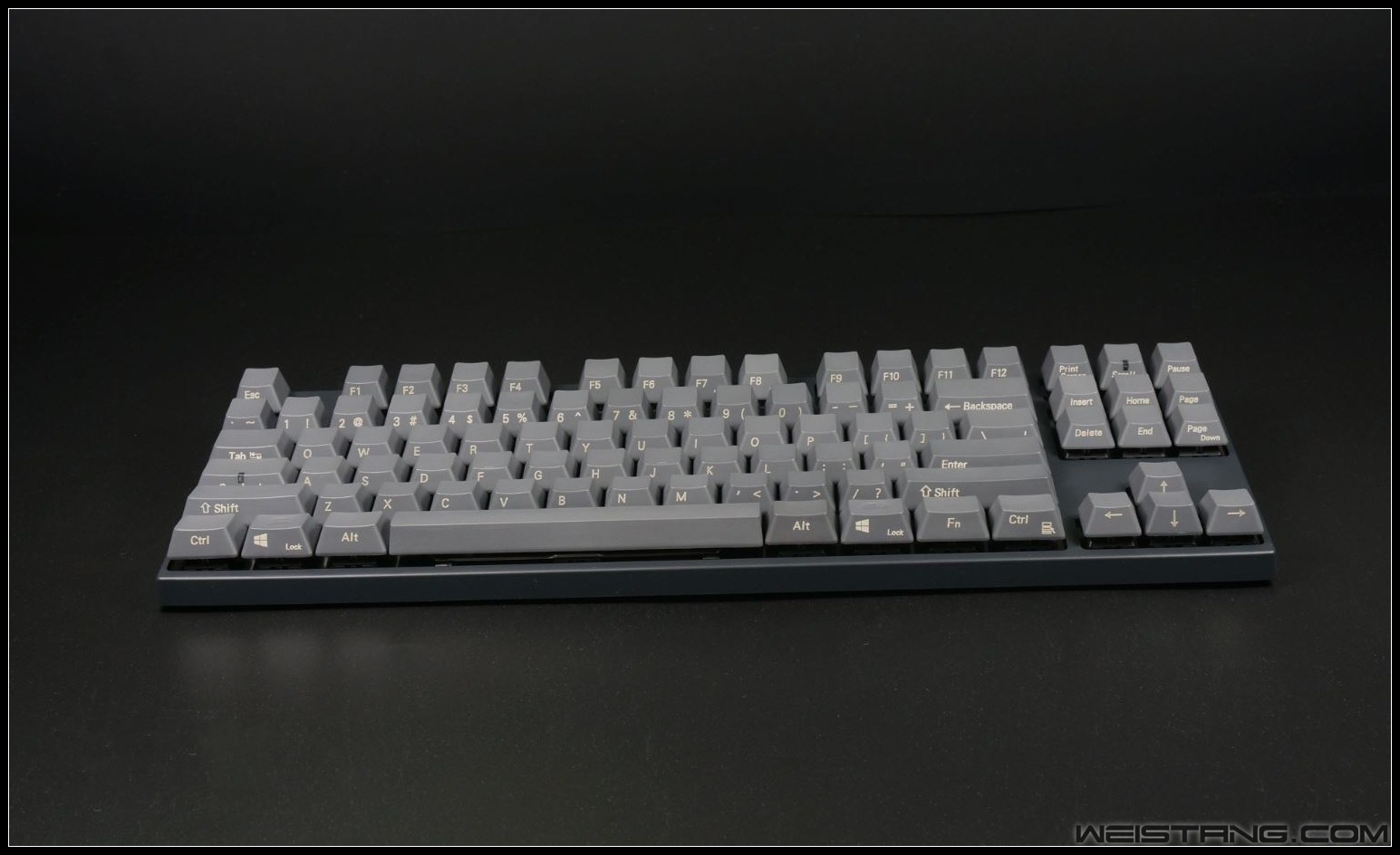 14_conew2.JPG