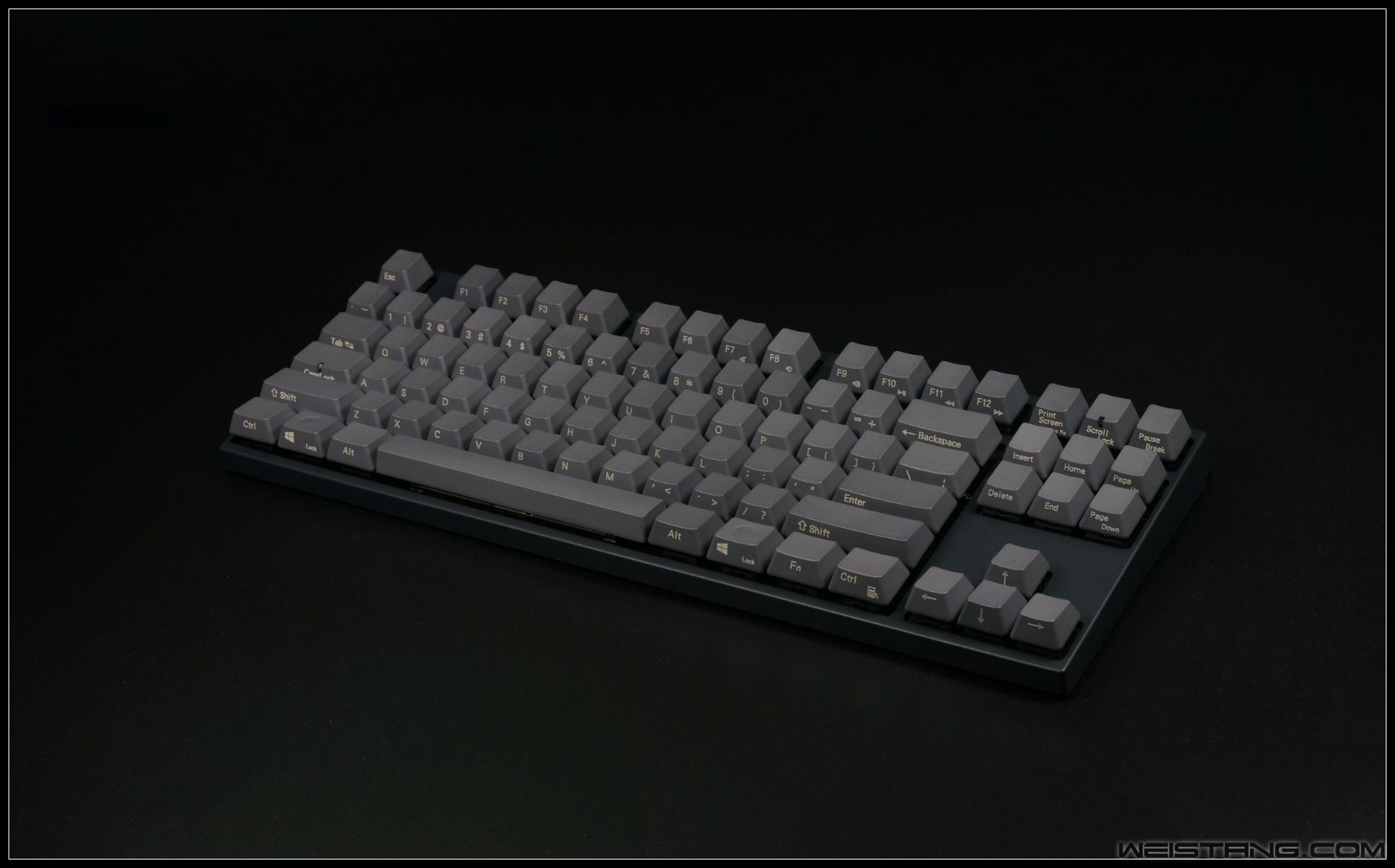 48_conew1.JPG