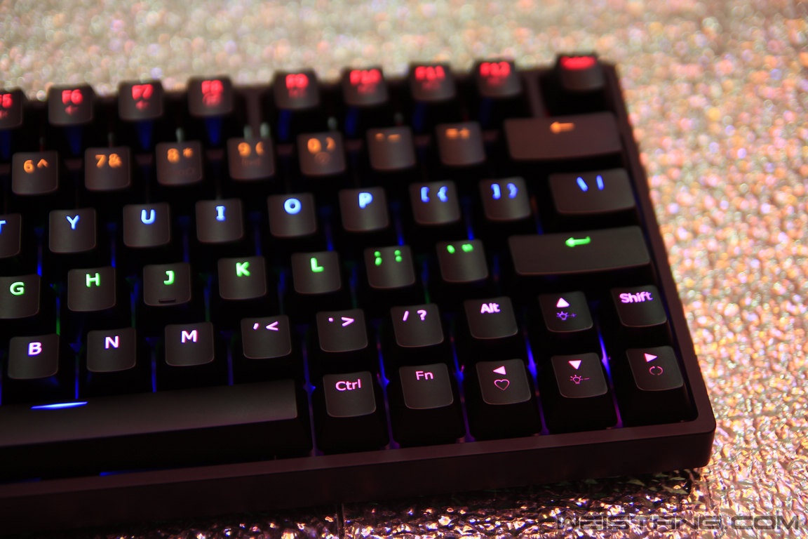 nEO_IMG__MG_3005.jpg