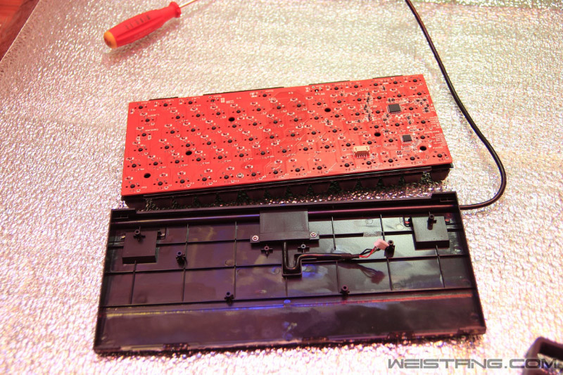 nEO_IMG__MG_3028.jpg