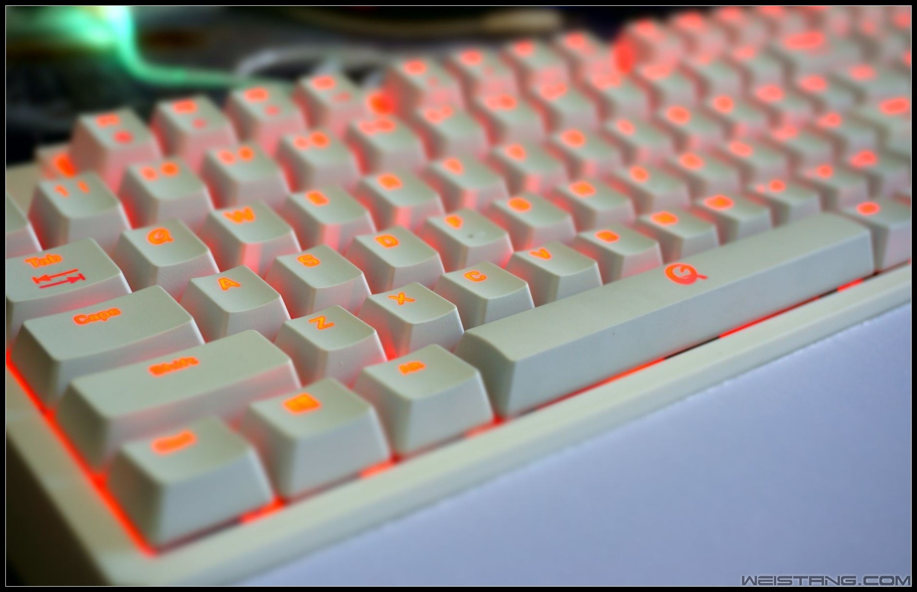 59_conew2.JPG