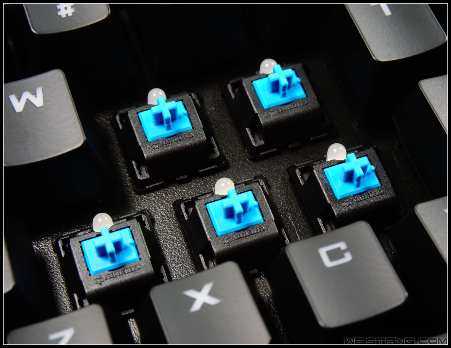36_conew1.JPG