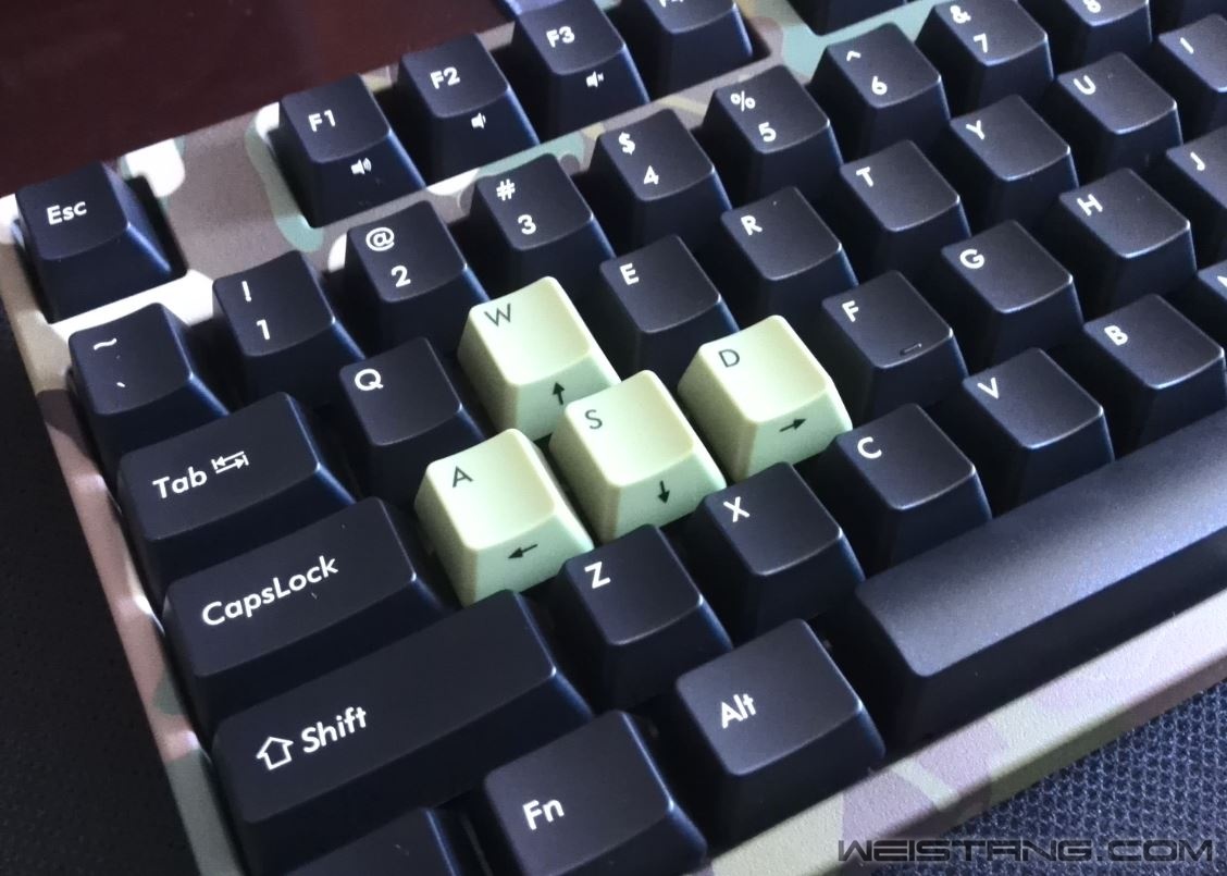 280.JPG