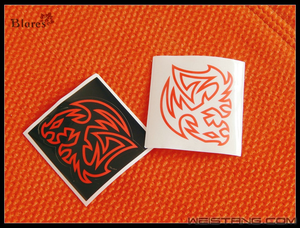 DSCN2490.jpg