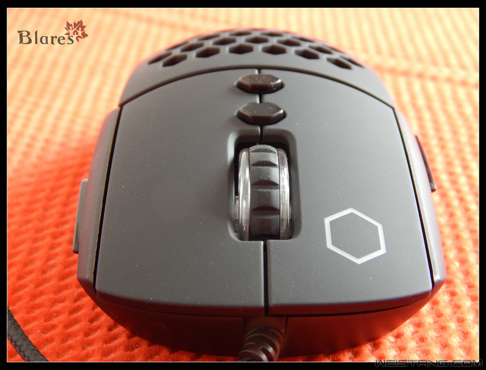 DSCN2495.jpg