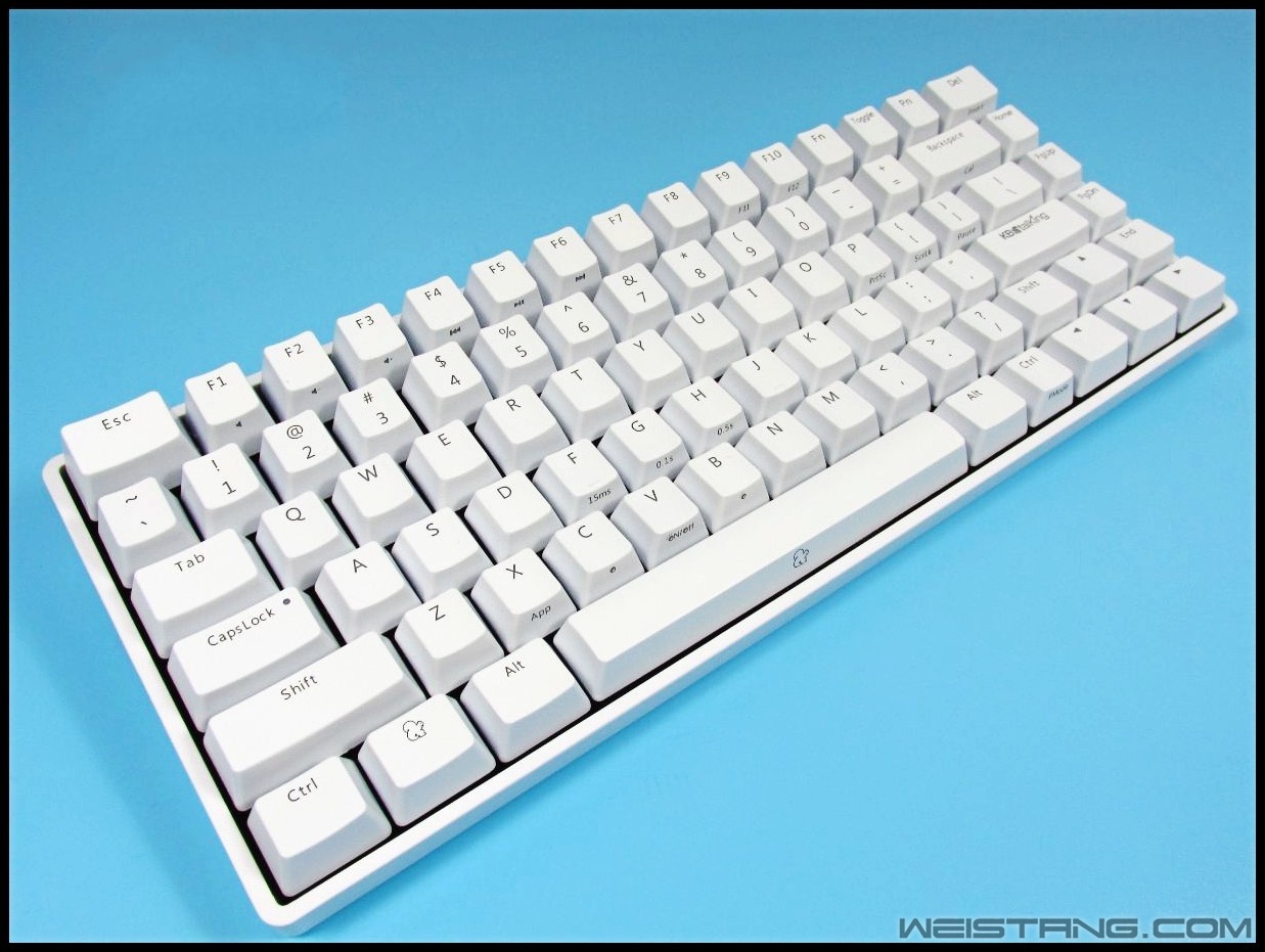 59_conew2.JPG