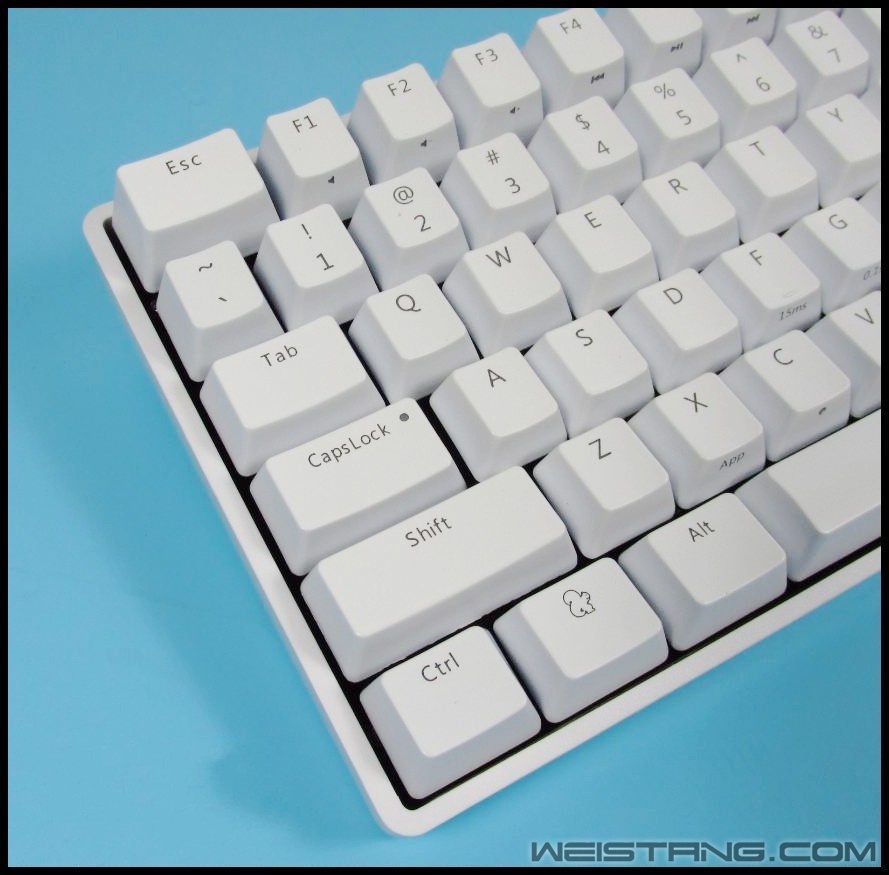 72_conew2.JPG