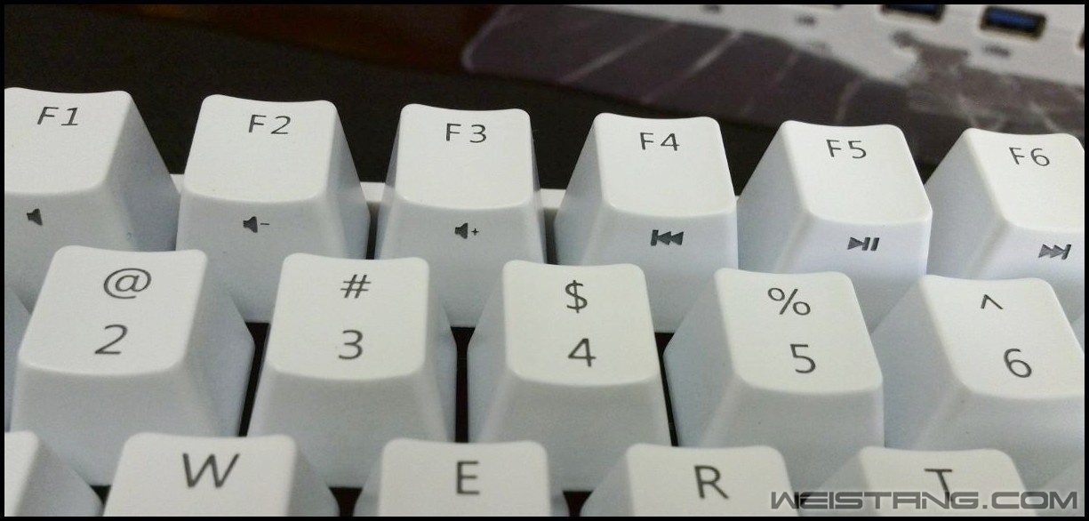 102_conew2.JPG