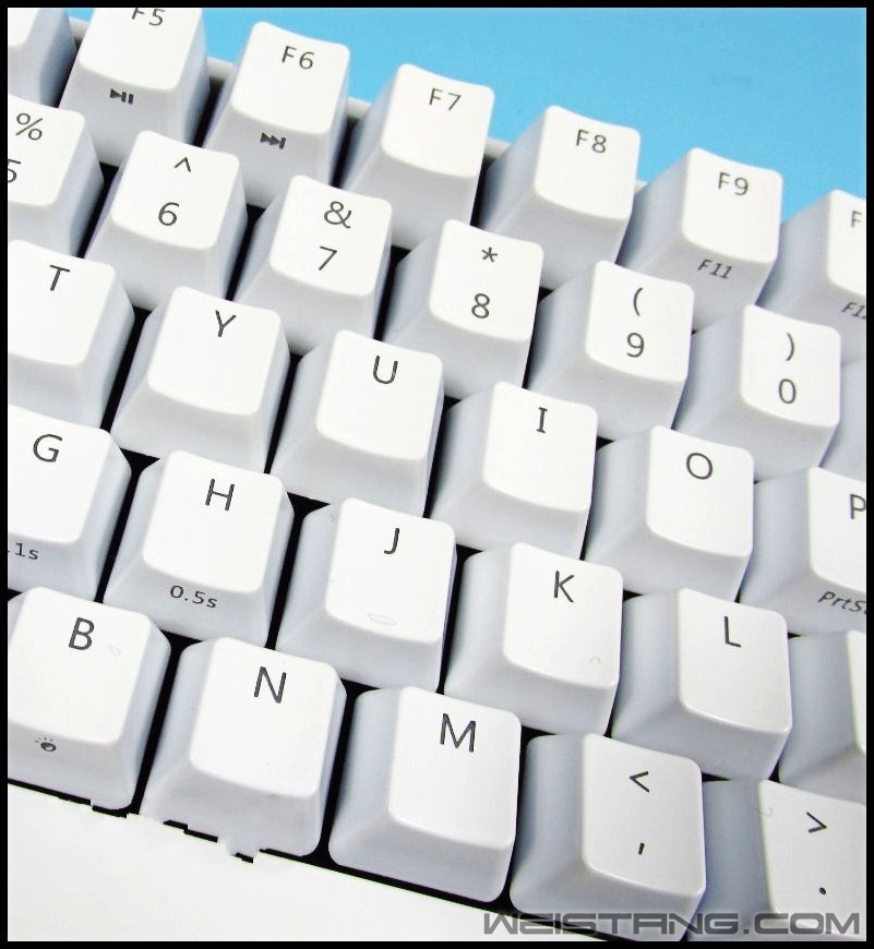 73_conew2.JPG