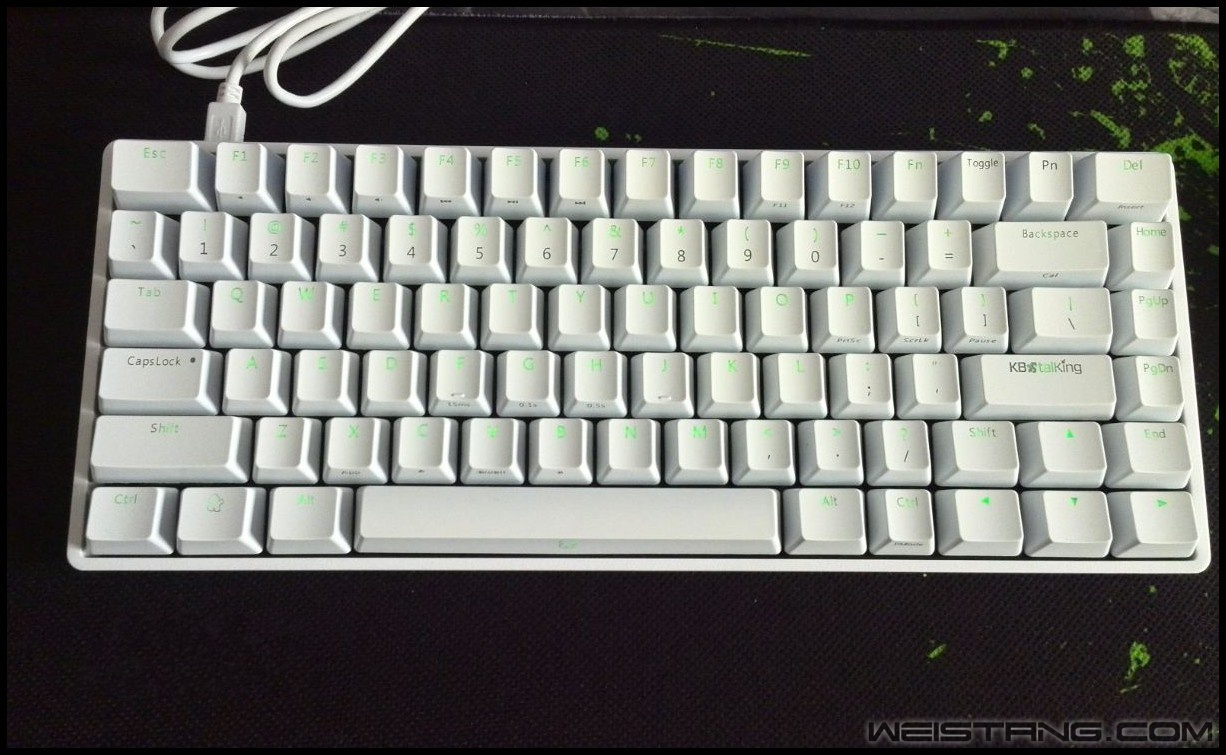 121_conew2.JPG