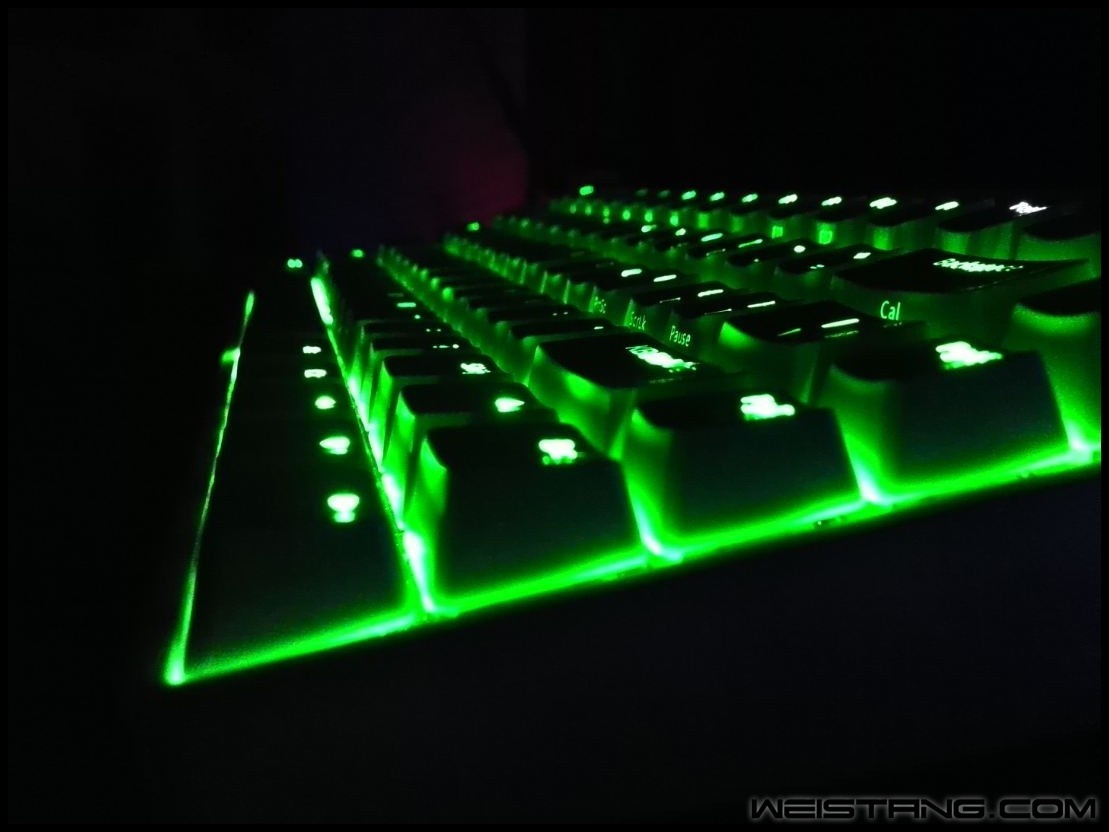 143_conew2.JPG