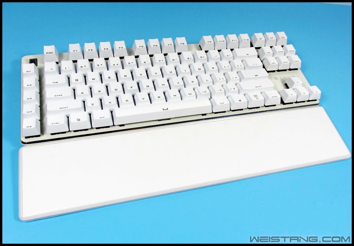 33_conew2.JPG