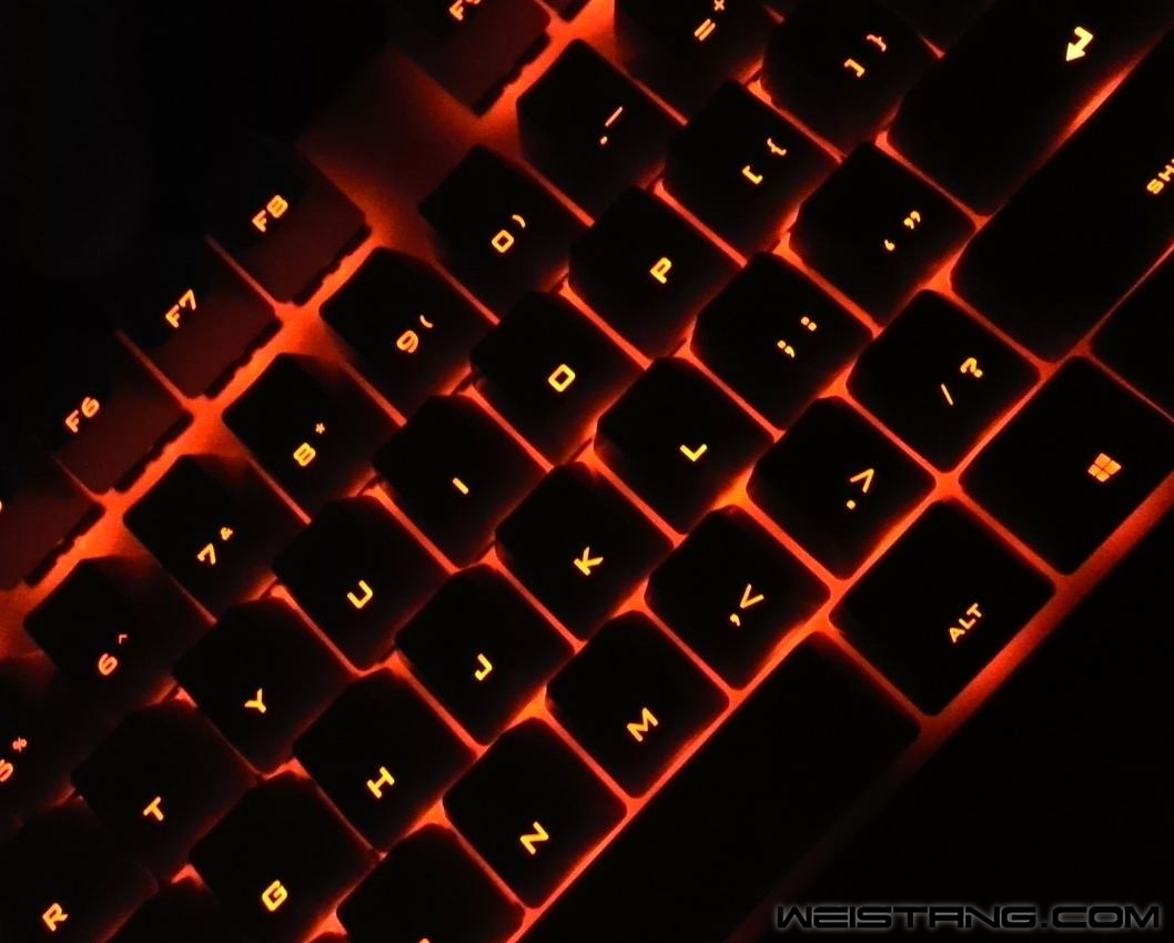 221_conew2.JPG