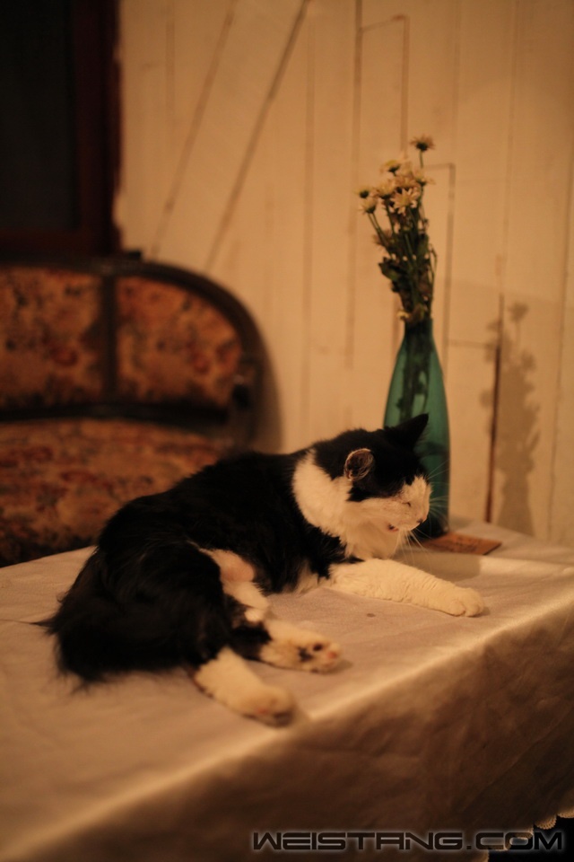 IMG_7553_С.JPG