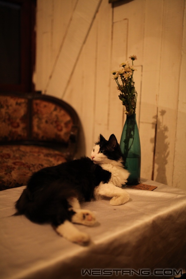IMG_7558_С.JPG