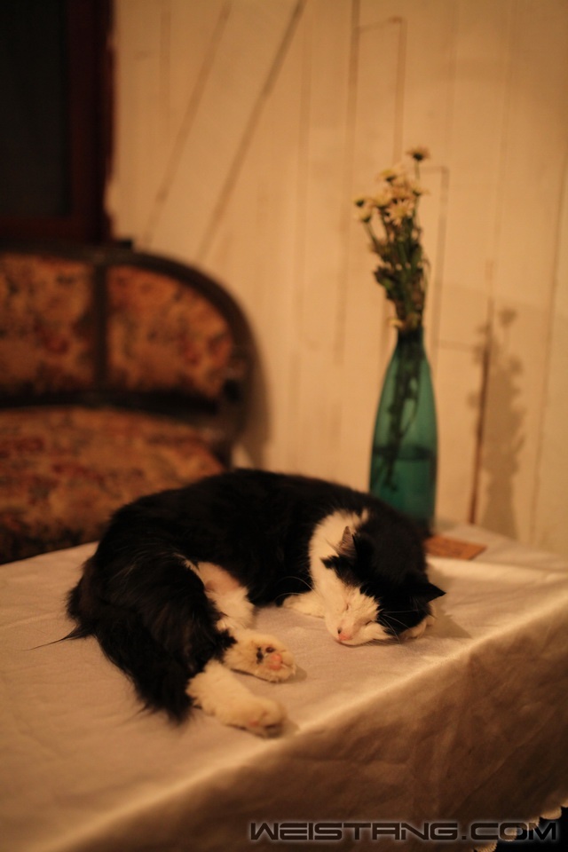 IMG_7567_С.JPG