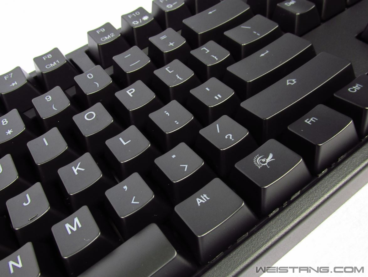 137.JPG