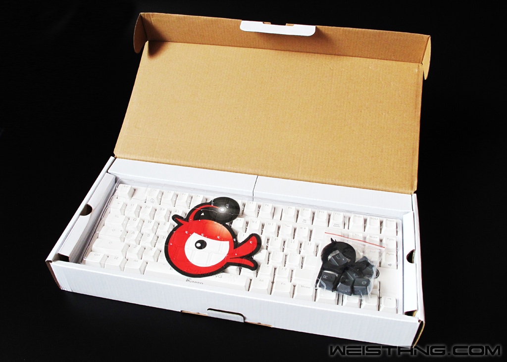 duckys206.jpg