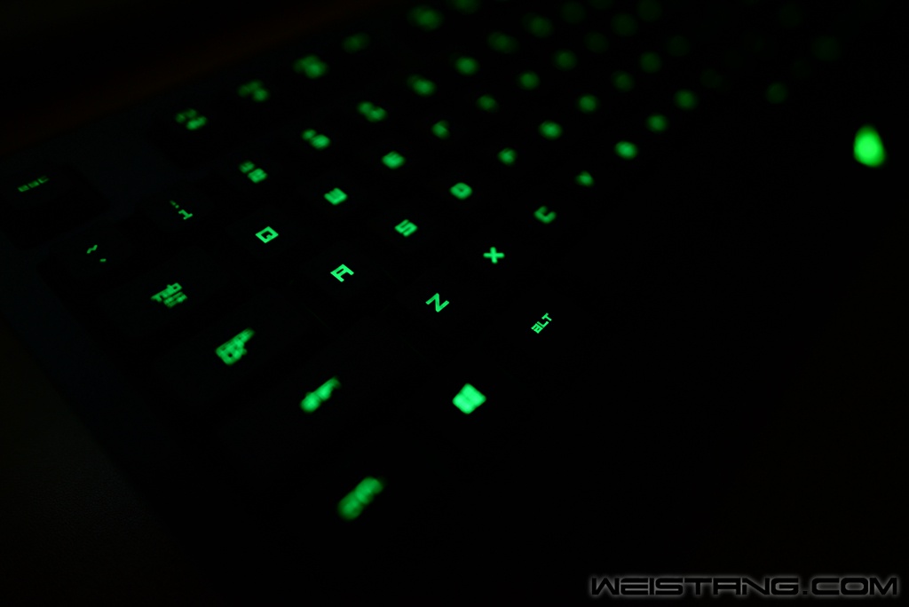 DSC_5988.JPG