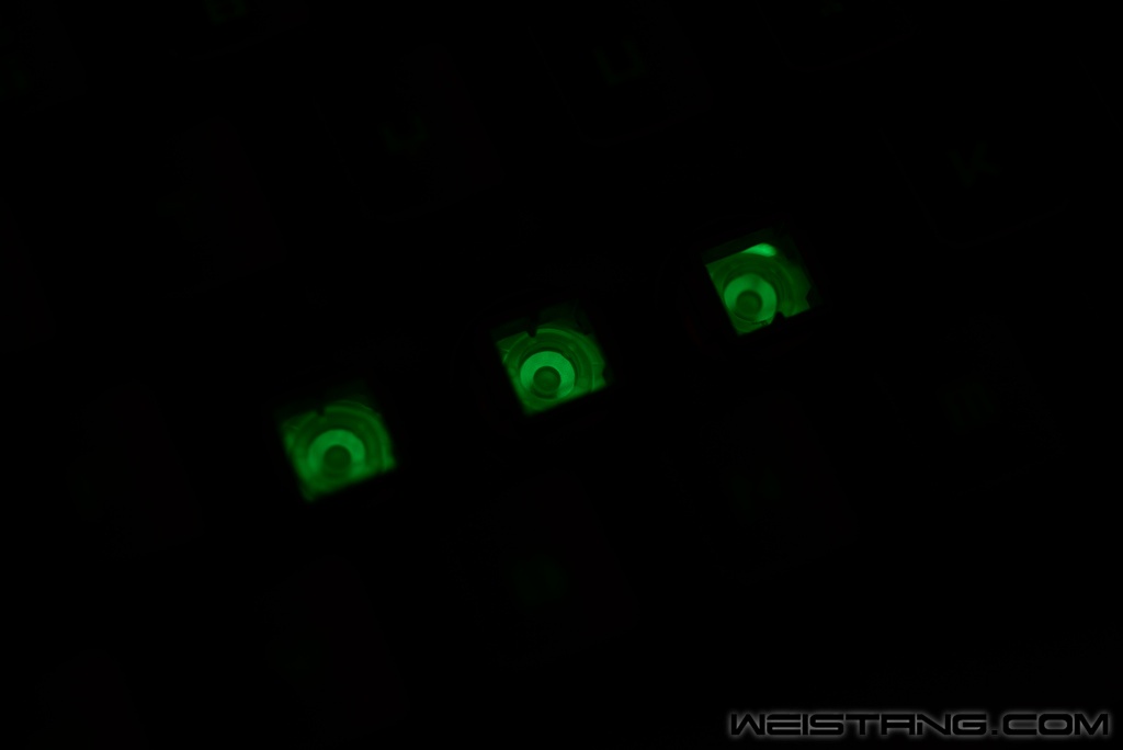 DSC_6170.JPG