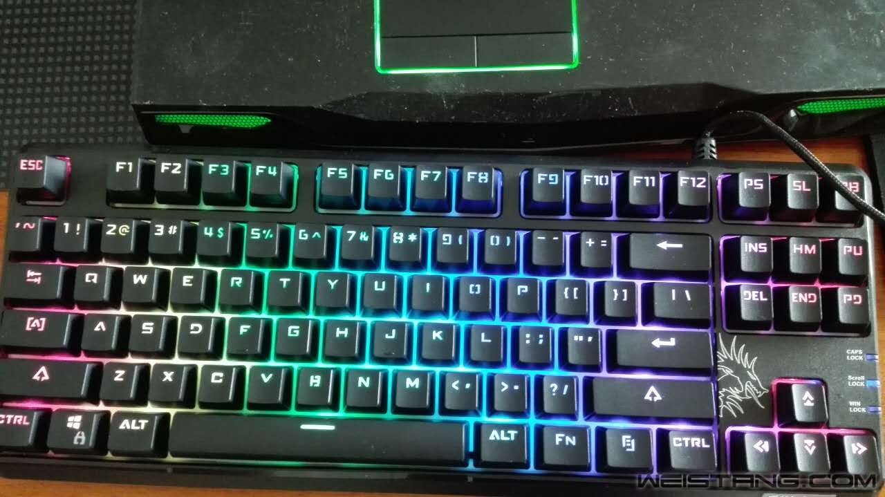 f5.jpg
