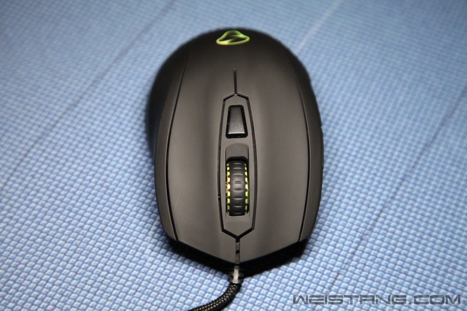 IMG_8317_调整大小.JPG