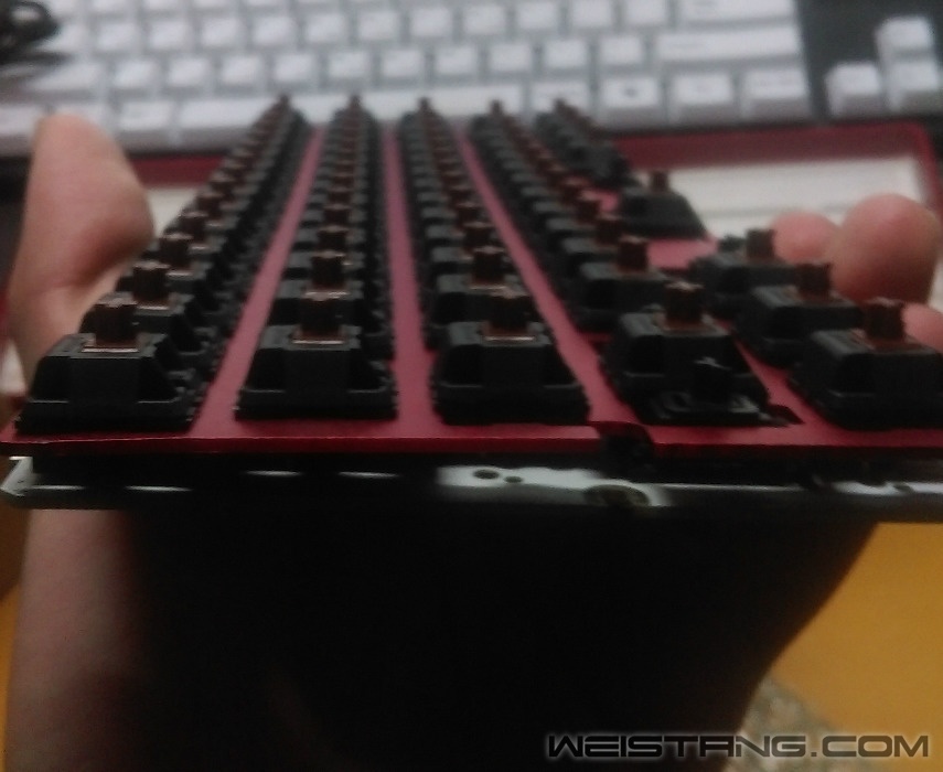 IMAG0588.jpg