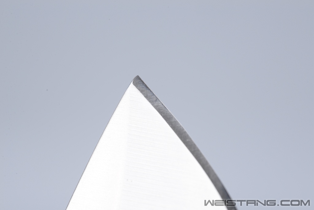 DSC_7704.JPG