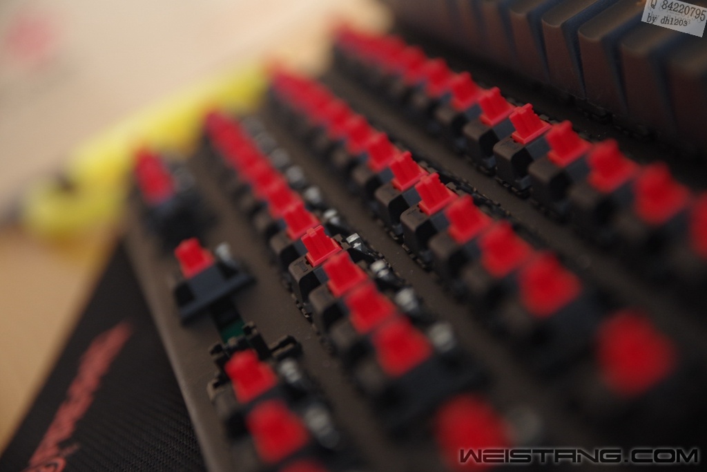 ARPS4724.jpg